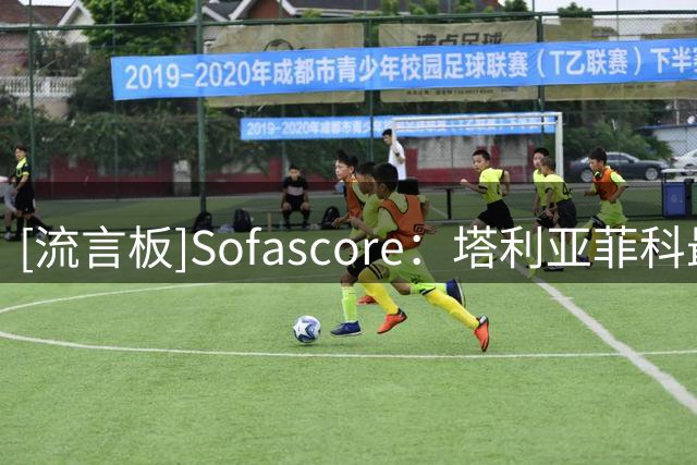 [流言板]Sofascore：塔利亚菲科最高瞬时速度36.2km/h，本届之最